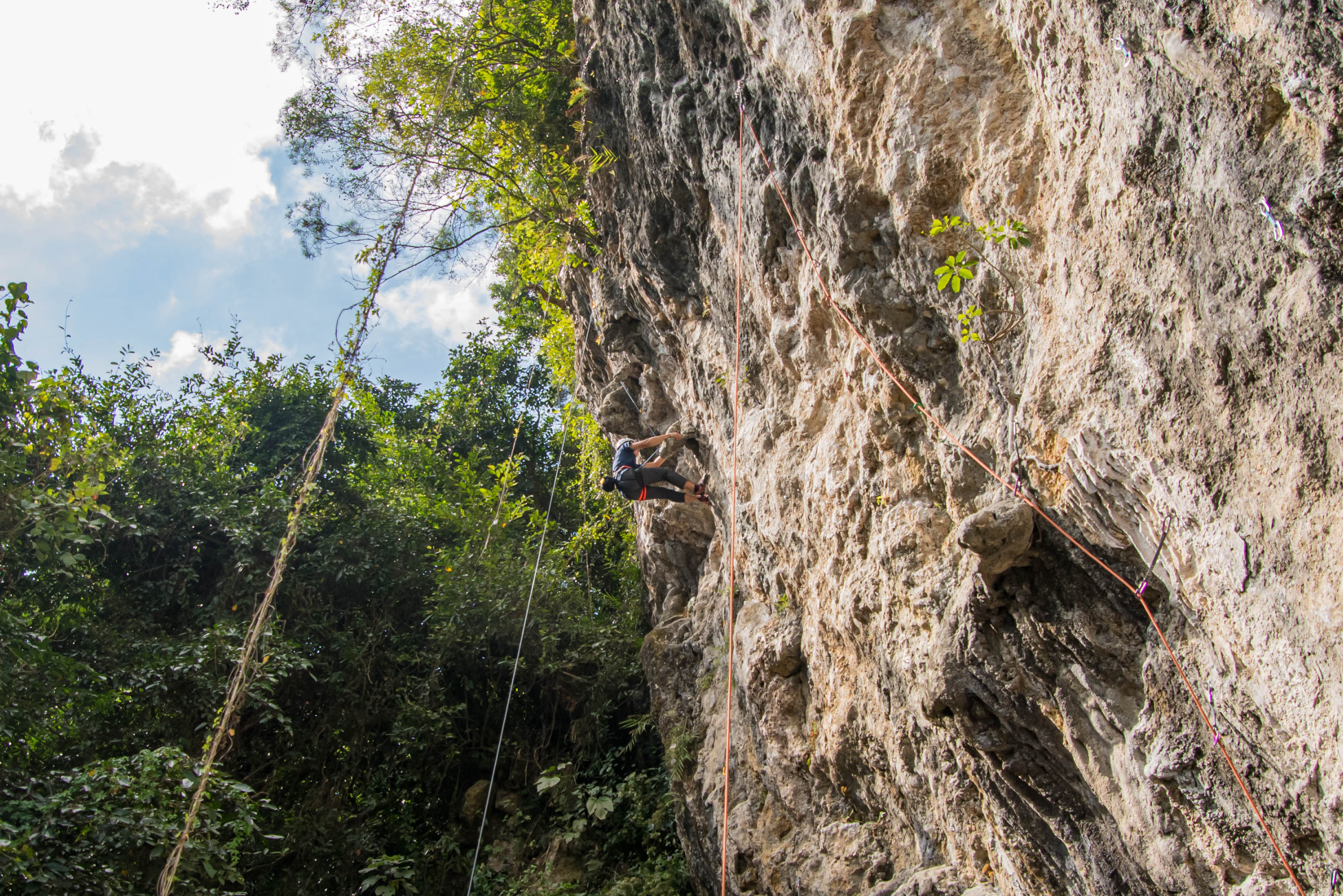 Close up of climbing hold